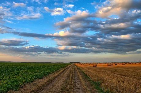 ¿Cómo se sabe si un suelo es propicio para la agricultura?