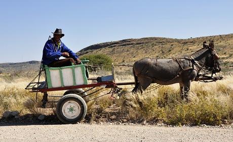 ¿Cómo se sabe si un suelo es propicio para la agricultura?