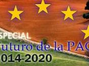 2014-2020, esto tienes saber.