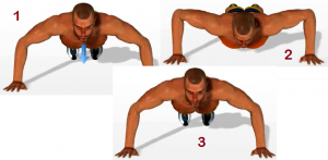 Musculación para novatos ejercicios-para-pectorales