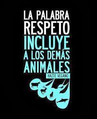 ARGUMENTO: “Los veganos creen que están siendo éticamente superiores y no lo son”