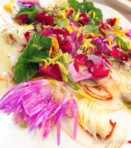 detalle Carpaccio de Sepia con pimientos rojo, habitas hierbas y flores del campo la calendula girona baco y boca