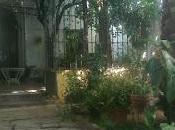 pequeño jardín modernista