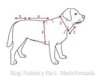 Sweater para perro, vestidos tejidos para mascotas (A sweater for a dog crocheted o knitting)