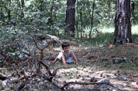 Vivir la naturaleza con los niños