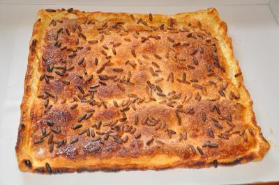 Cocas De San JUan 2015