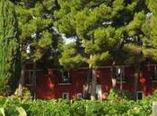 enoturismo según Dominio Vega