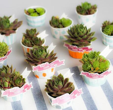 Increíbles Fotos de Souvenirs de Casamiento Súper Originales!!