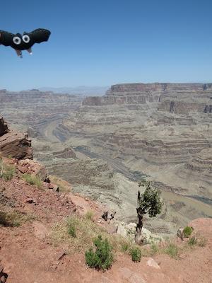 El gran Gran Cañón del Colorado