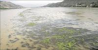 El problemático lodazal de los sedimentos de los embalses