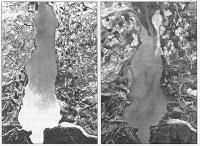 El problemático lodazal de los sedimentos de los embalses