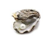 cosas sabías sobre clítoris