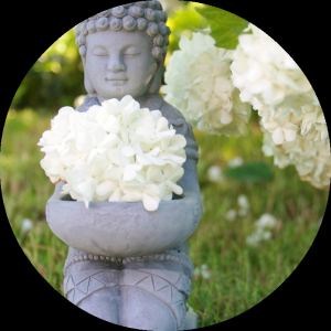 pixabay_budda