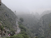 Fotos Campistas Semana. Parte