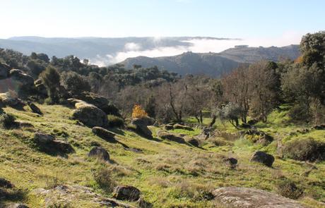 Senda del Duero: Pinilla-Fermoselle Alrededores de Pinilla de Fermoselle