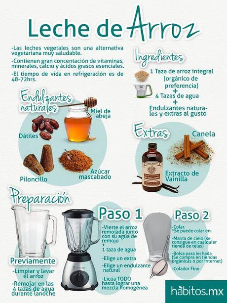 Como hacer leches Vegetales Como hacer leches Vegetales