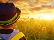 ¿Por gente sigue sueños?