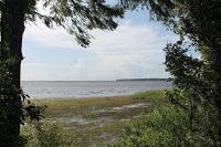 Vistas del Saint Johns River