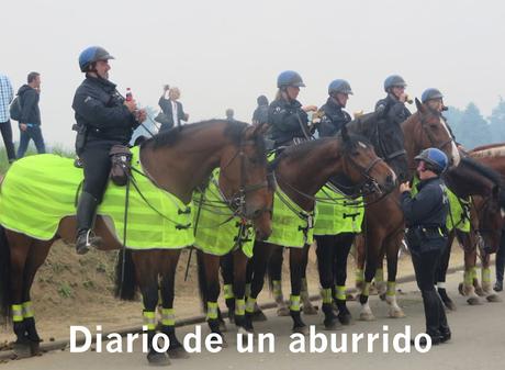 Waterloo 2015. Reproducción de la batalla en su segundo centenario