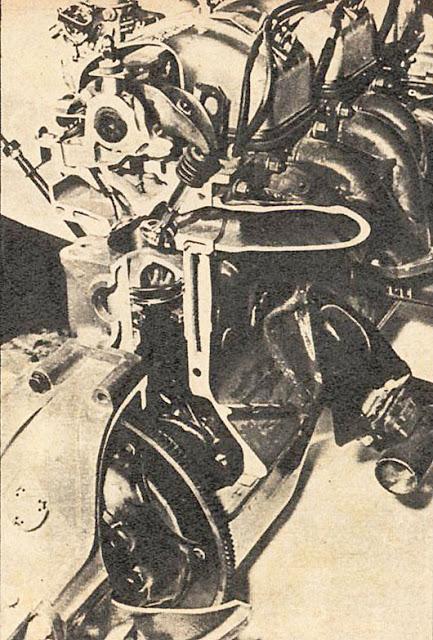 ¿Por qué usaron caballos?