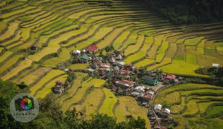 Las Terrazas de Arroz de Filipinas