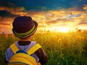 ¿Por qué no sigues tus sueños?