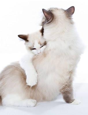 Qué me pasa, doctor?