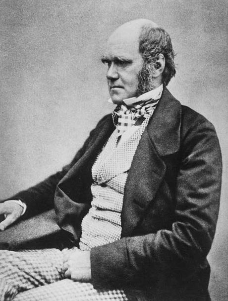 Wallace y Darwin: Un pacto por la evolución