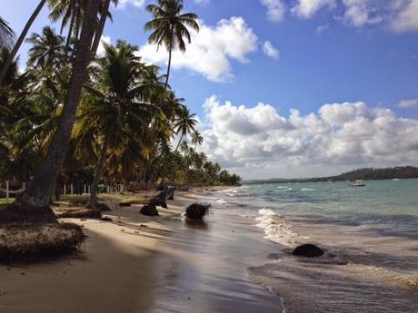 Playas de Pernambuco: Praia dos Carneiros y Porto das Galinhas