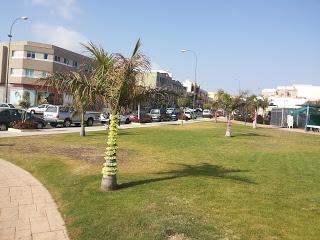 Mi día de tejer en público