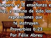 Crecer partir errores