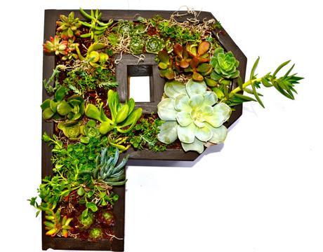 Jardines verticales con suculentas y letras.