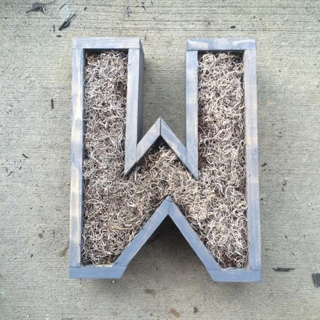 Jardines verticales con suculentas y letras.