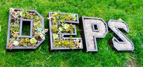 Jardines verticales con suculentas y letras.