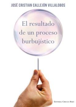 libro-resultado-proceso-burbujistico2