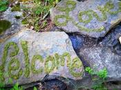 Graffiti. Díselo verde