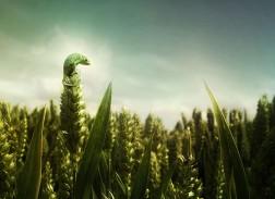 Posicionamiento web Barcelona