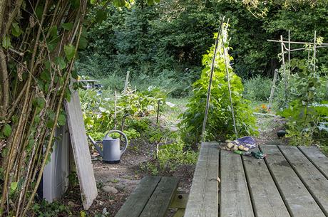 RURALSASKI CESTAS DE HORTALIZAS ECOLÓGICAS