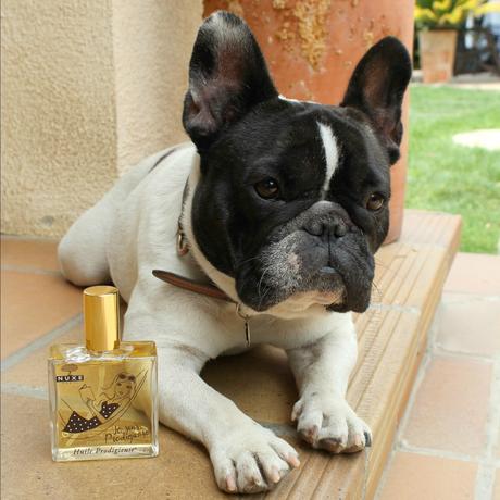 Kafka también parece querer probar el Huile Prodigieuse de Nuxe