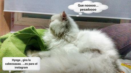 estamos tan agustito