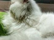 Estamos Agustito CII. nooooo #funny