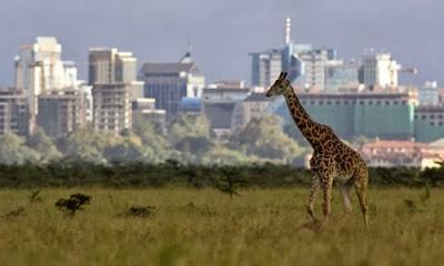 Turismo en Nairobi, la ciudad moderna de Kenia