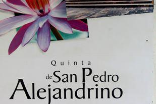 Quinta de San Pedro Alejandrino