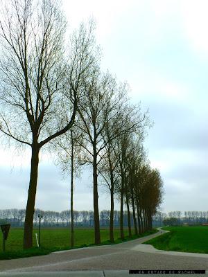 Bélgica en Abril.