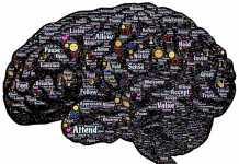 Vídeojuegos como entrenamiento cognitivo en adultos mayores