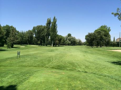 MobGolf Entrepinos Tee 15