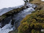 Bendita frescura respira (pensamiento veraniego)