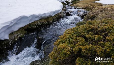 Bendita frescura se respira (pensamiento veraniego). Fotografía creativa - Fotografía artística