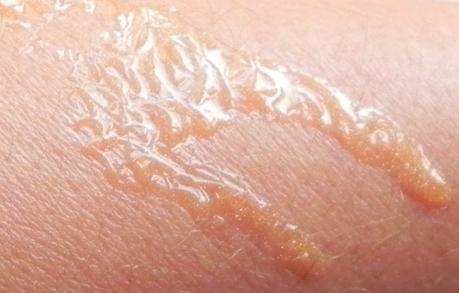 Solares Clarins 2015: 7 productos...Mil ocasiones.