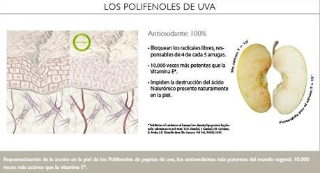 Fluido Antiarrugas Protector SPF20 “Polyphenol C15” de CAUDALIE en COSAS DE FARMACIA